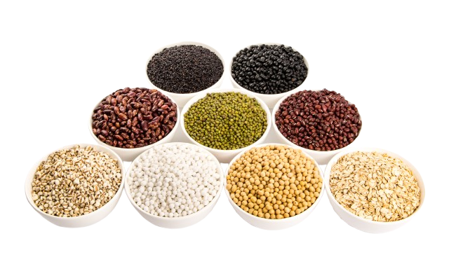 variety legumes removebg preview